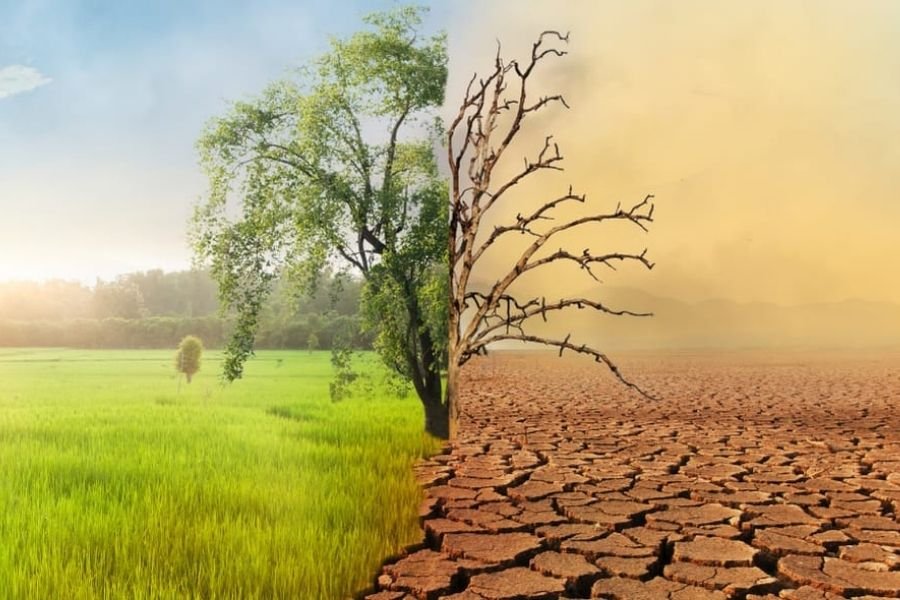 Climate Change