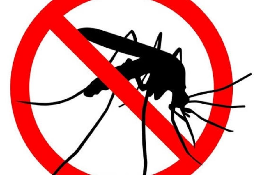 Malaria